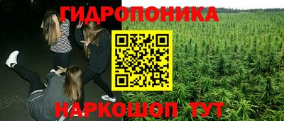 a pvp Славянск-на-Кубани