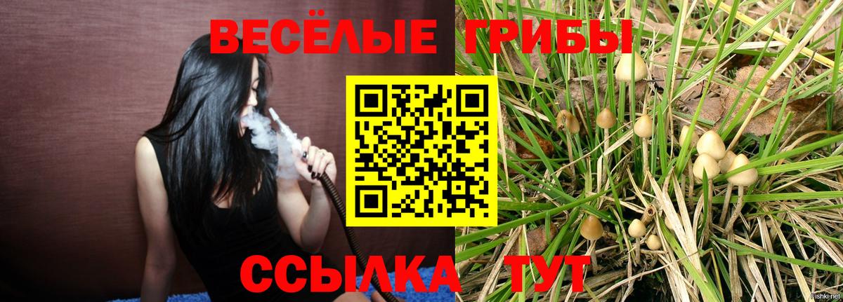 Галлюциногенные грибы MAGIC MUSHROOMS Павловский Посад