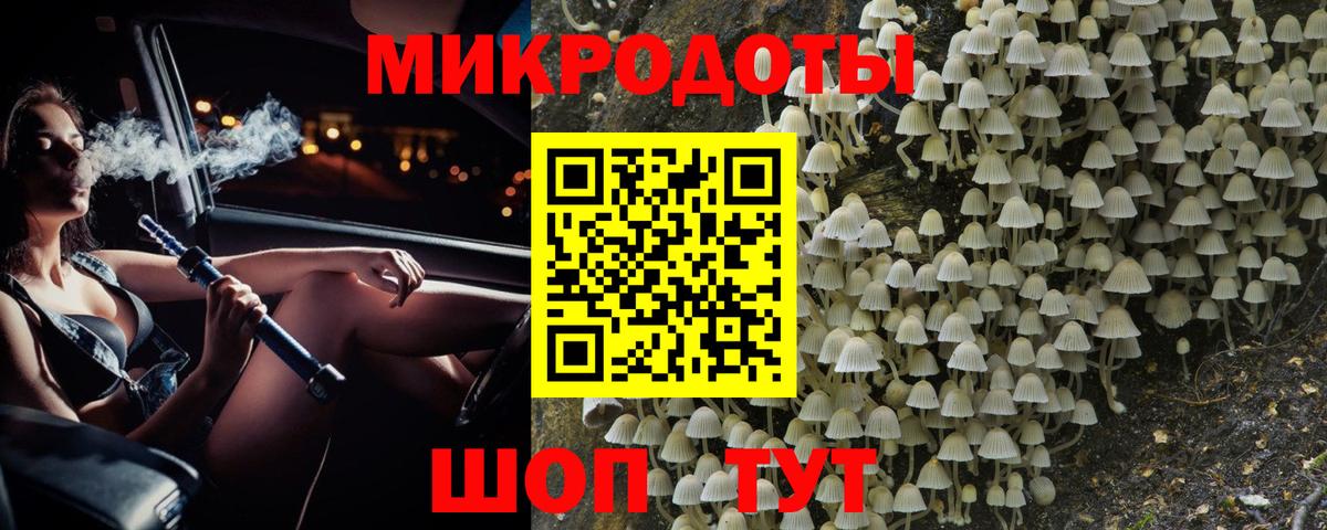 дарнет шоп  Галлюциногенные грибы мицелий  Вход с VPN  Псилоцибиновые грибы Psilocybine cubensis  Павловский Посад 